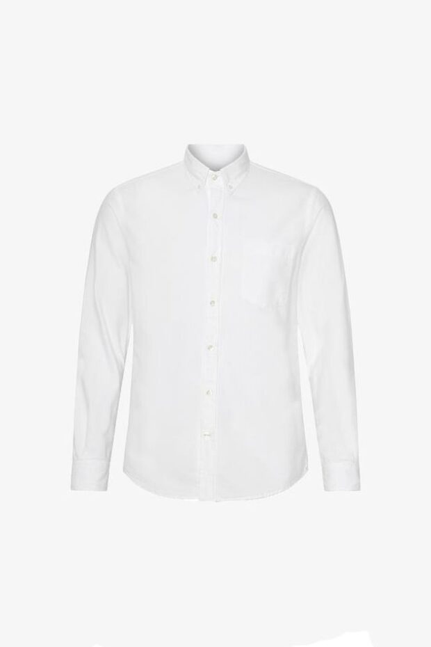 HEMD ORGANIC BUTTON DOWN OPTICAL W