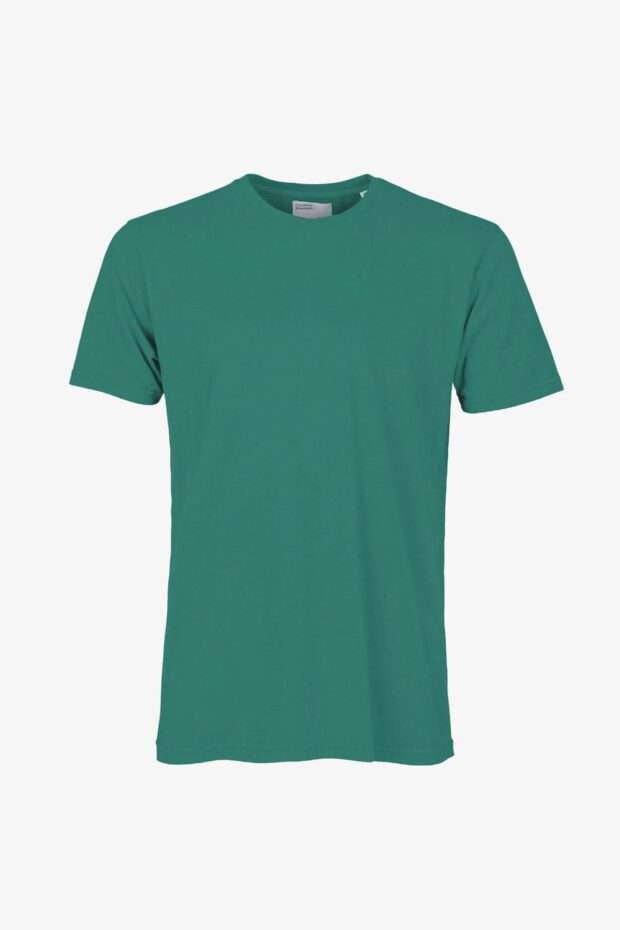 SHIRT CLASSIC ORGANIC TEE PINE